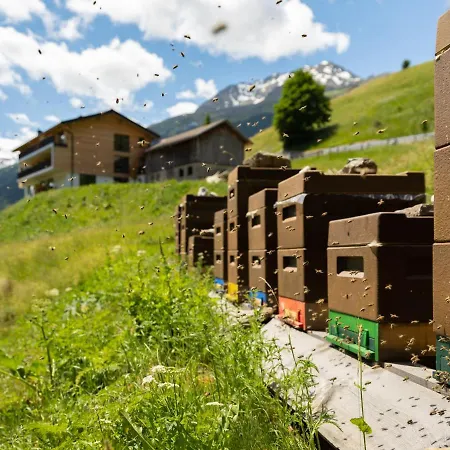 Anraitl * ゼルデン